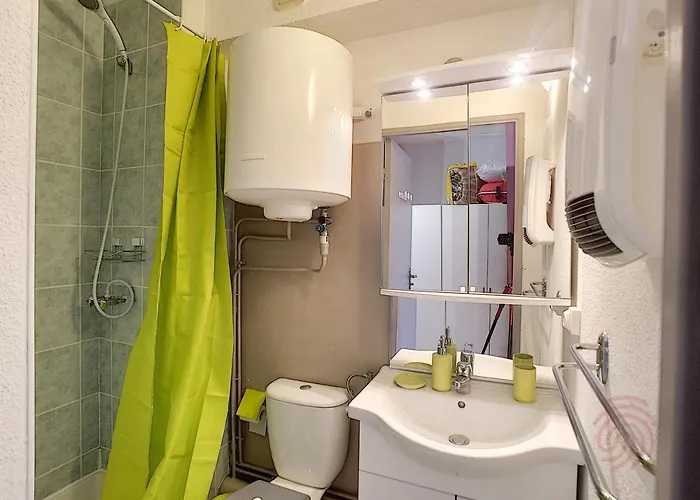 Avec Balcon - Wifi Et Animaux Acceptes - Fr-1-451-197 Lamalou-les-Bains